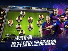 新疆队受重,阿不都沙拉,木和趙睿权,世界杯半决赛,2026世界杯,半决赛赛程,赛事分析,球队对阵
